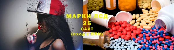 хмурый Алзамай