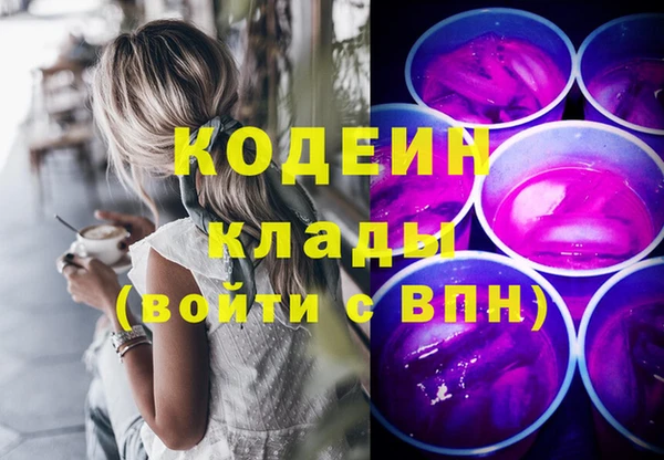 хмурый Алзамай
