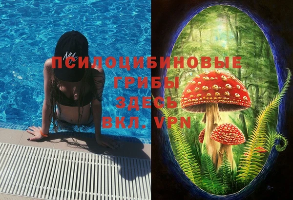 синтетический гашиш Касимов