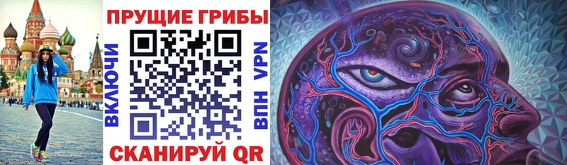 Галлюциногенные грибы GOLDEN TEACHER цены OMG как зайти Шумиха